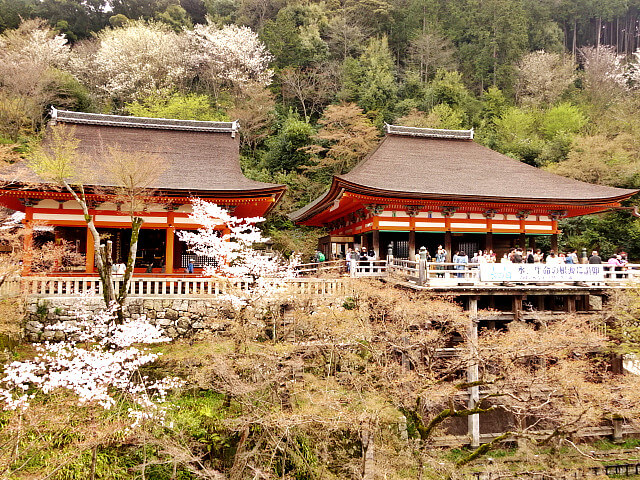 【京都 清水寺】